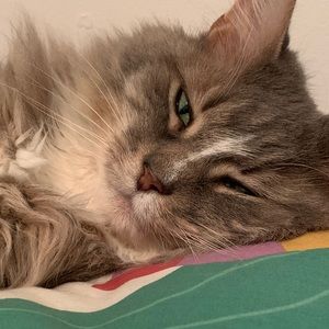 Meet your Posher, Melissa